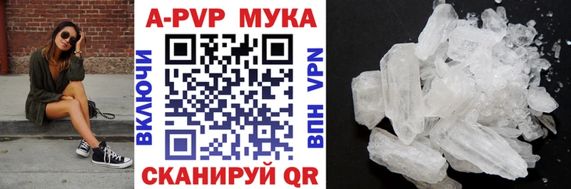 как найти   hydra вход  Alfa_PVP СК КРИС  Шали 
