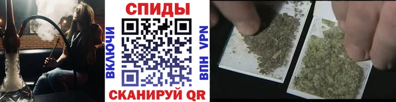 Бутират буратино  Шали 