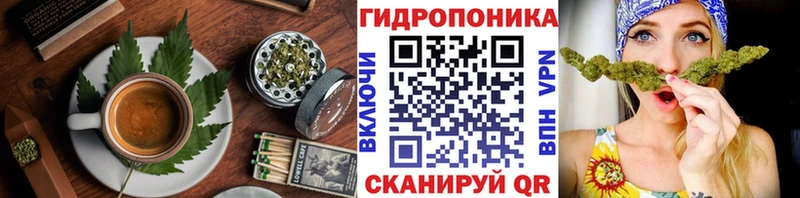 где можно купить наркотик Шали Cannafood марихуана