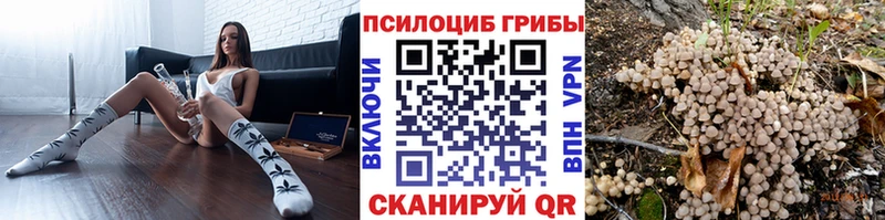 купить Шали Галлюциногенные грибы мицелий