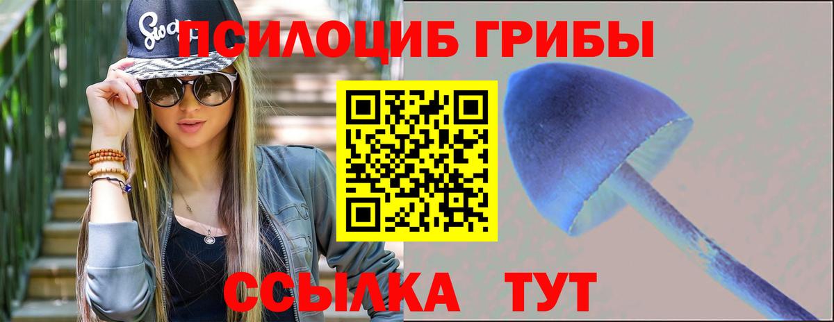 где продают наркотики  Вход с VPN  Шали  Галлюциногенные грибы Psilocybe 